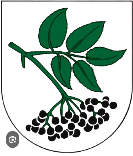 logo_organizator